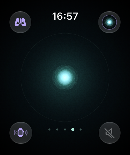 Apple Watch 呼吸场景